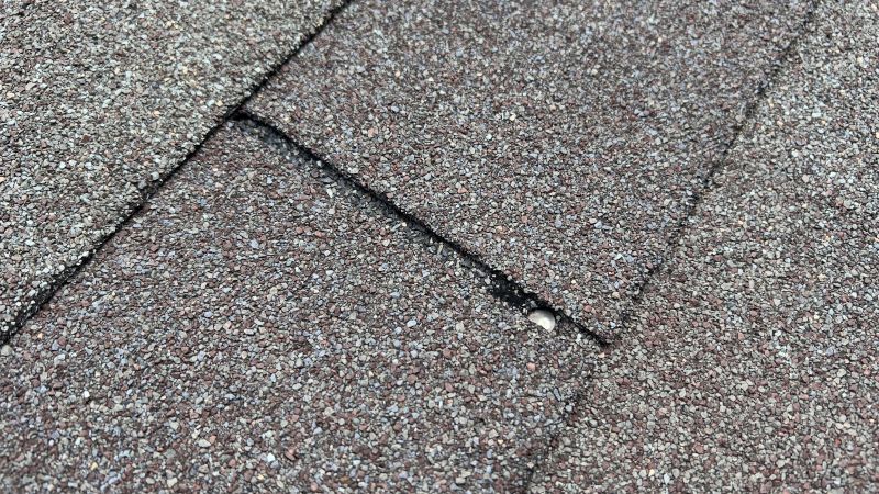 Shake Shingle Repair detail