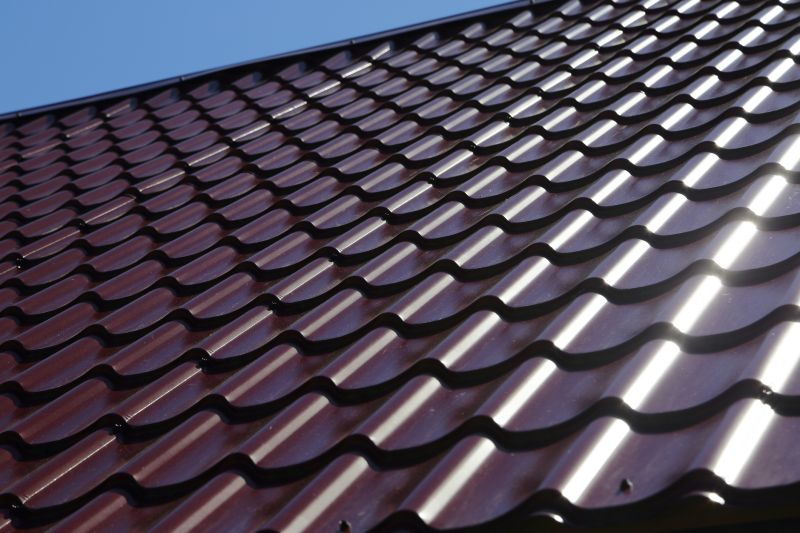 Specialized Roofing Services
